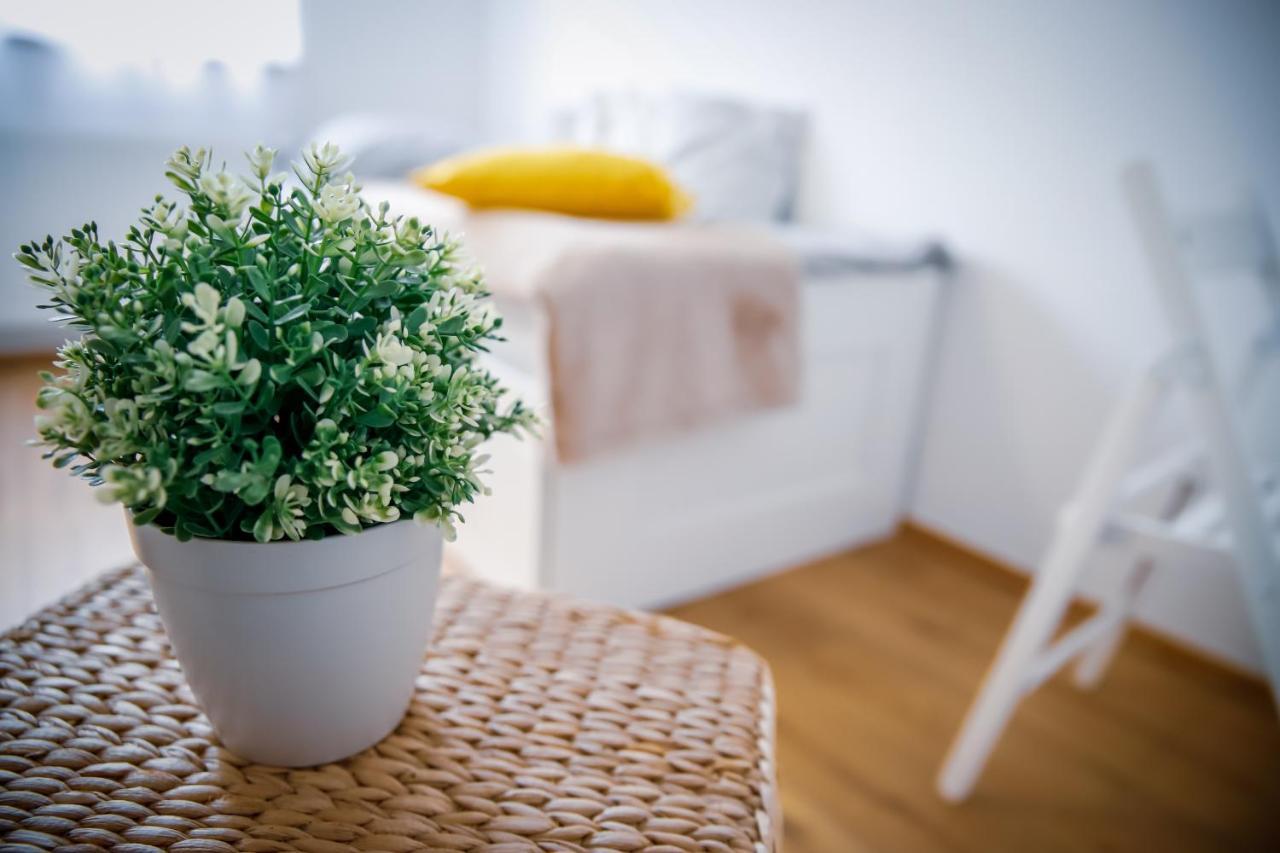 Cozy Apartment In The Downtown ジュール エクステリア 写真